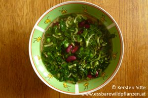 Mehr über den Artikel erfahren Knackige Wildpflanzen-Gemüse-Suppe